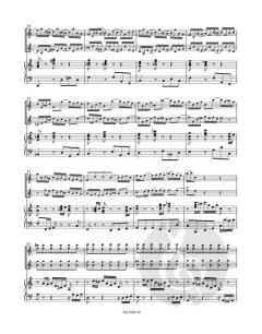 Konzert BWV 1043 von Johann Sebastian Bach 
