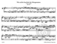 Orgelwerke von Johann Sebastian Bach (Download) 