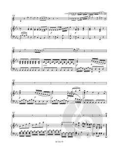 Konzert Nr. 2 Es-Dur KV 417 von Wolfgang Amadeus Mozart (Download) 