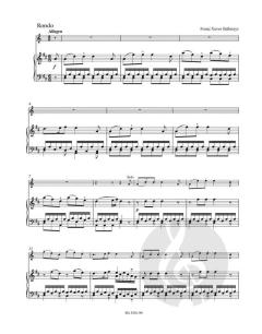 Konzert in D 'Nr. 1' KV 412+514 (=KV 386b) von Wolfgang Amadeus Mozart für Horn und Orchester