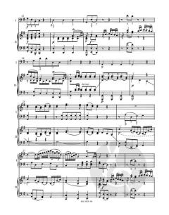 Konzert Nr. 5 D-Dur KV 175, Rondo D-Dur KV 382 von Wolfgang Amadeus Mozart für Klavier und Orchester im Alle Noten Shop kaufen