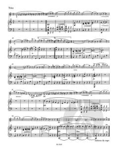Sonate für Violine und Klavier D 574 op. post.162 von Franz Schubert im Alle Noten Shop kaufen