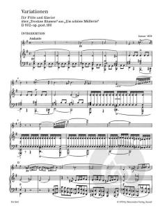 Variationen D 802 op. post.160 von Franz Schubert (Download) 