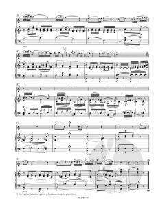 Andante in C KV 315 (285e) von Wolfgang Amadeus Mozart für Flöte und Orchester im Alle Noten Shop kaufen