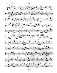 Hohe Schule des Violoncellospiels op. 73 von David Popper im Alle Noten Shop kaufen