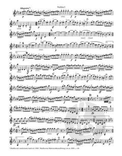 Streichquartette op. 18 von Ludwig van Beethoven im Alle Noten Shop kaufen (Stimmensatz)