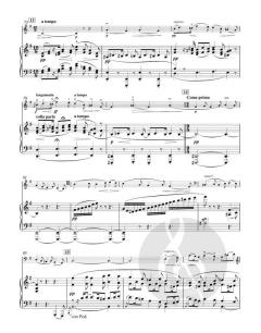 Konzert in e-Moll op. 85 von Jonathan Del Mar für Violoncello und Orchester im Alle Noten Shop kaufen