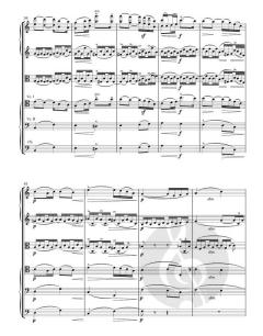 Serenade op. 20 von Edward Elgar 