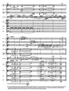 Konzert für Violoncello und Orchester h-Moll op. 104 von Antonín Dvorák 