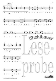 30 lustige Lieder und fetzige Stückln (Spiralbindung) 