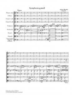 Sinfonie g-Moll für Flöten, 2 Oboen, 2 Hörner, Fagott und Streicher von Antonio Rosetti 