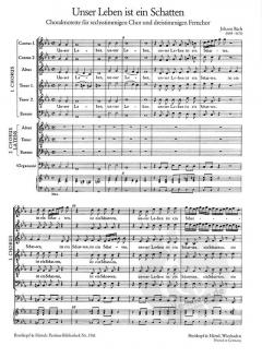 Unser Leben ist ein Schatten (J.S. Bach) 