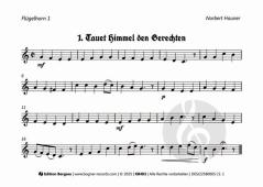 Durch's Kirchenjahr 