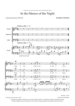 In the Silence of the Night von Andrew Steffen (Download) 