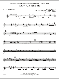 Now Or Never von Matthew Gerrard (Download) 