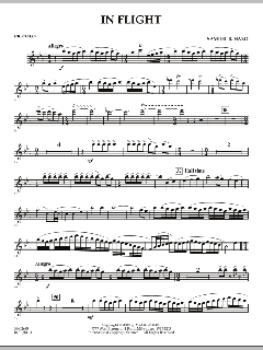 In Flight von Samuel R. Hazo (Download) 