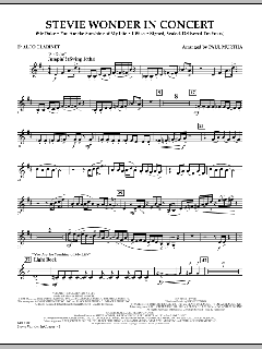 Stevie Wonder In Concert (Download) 