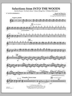 Selections From Into The Woods von Stephen Sondheim (Download) 
