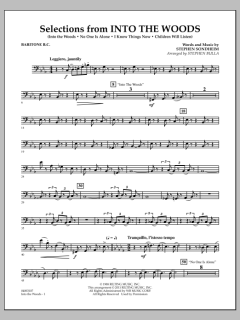 Selections From Into The Woods von Stephen Sondheim (Download) 