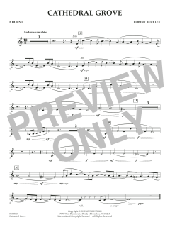 Cathedral Grove von Robert Buckley Farlee (Download) 