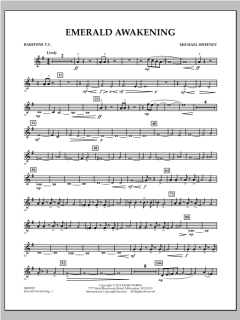 Emerald Awakening von Michael Sweeney (Download) 