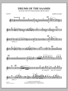 Drums of The Saamis von Samuel R. Hazo (Download) 