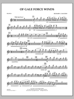 Of Gale Force Winds von Richard L. Saucedo (Download) 