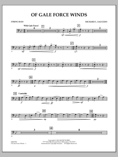 Of Gale Force Winds von Richard L. Saucedo (Download) 