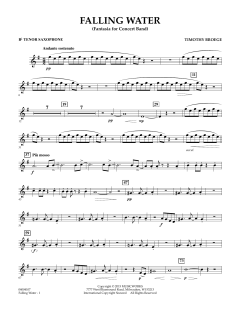 Falling Water von Timothy Broege (Download) 