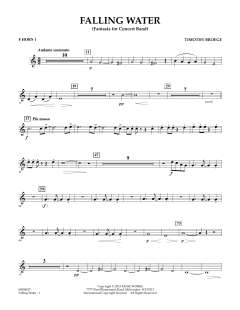 Falling Water von Timothy Broege (Download) 