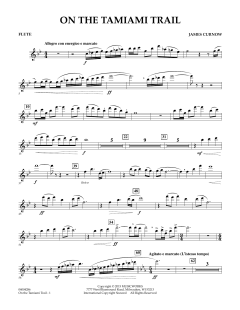 On The Tamiami Trail von James Curnow (Download) 