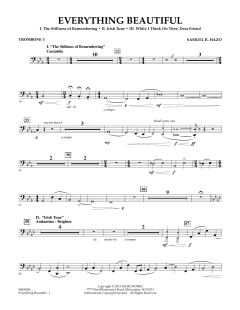 Everything Beautiful von Samuel R. Hazo (Download) 