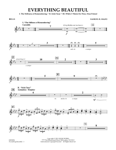Everything Beautiful von Samuel R. Hazo (Download) 