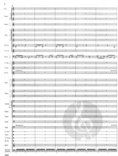 Danza Sinfonica op.117 (James Barnes) 