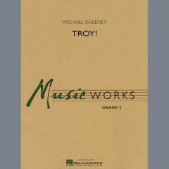 Troy! von Michael Sweeney 