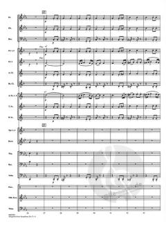 Allegretto aus: Symphonie Nr. 7 A-Dur op. 92 von Ludwig van Beethoven (Download) 