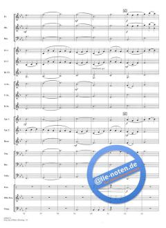 Jesu bleibet meine Freude (J.S. Bach) 