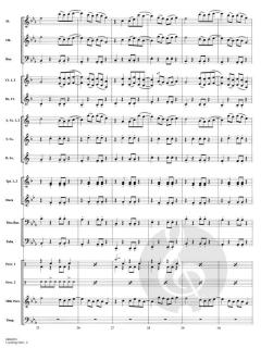 Counting Stars (OneRepublic) 