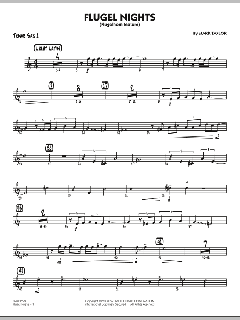 Flugel Nights von Mark Taylor (Download) 