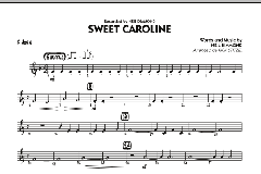 Sweet Caroline von Neil Diamond (Download) 