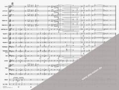 Hawaii Five-O Theme (Morton Stevens) 