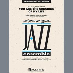 You Are The Sunshine Of My Life von Stevie Wonder (Download) 