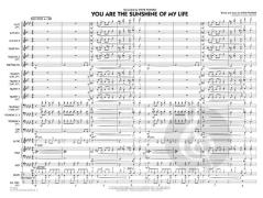 You Are The Sunshine Of My Life (Stevie Wonder) 