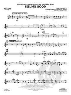 Feeling Good von Leslie Bricusse (Download) 