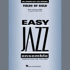Fields of Gold von Sting (Download) 