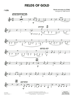 Fields of Gold von Sting (Download) 