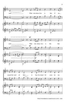 What Wondrous, Marvelous Love von Mary Ann Cooper (Download) 