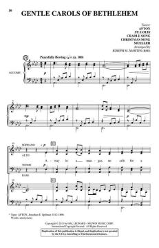 Appalachian Winter von Joseph M. Martin 