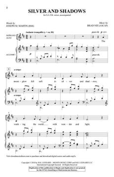Silver and Shadows von Brad Nix (Download) 