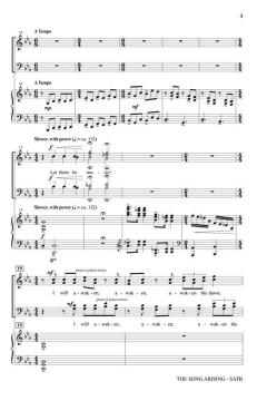 The Song Arising von Joseph M. Martin (Download) 